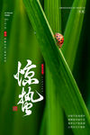 惊蛰