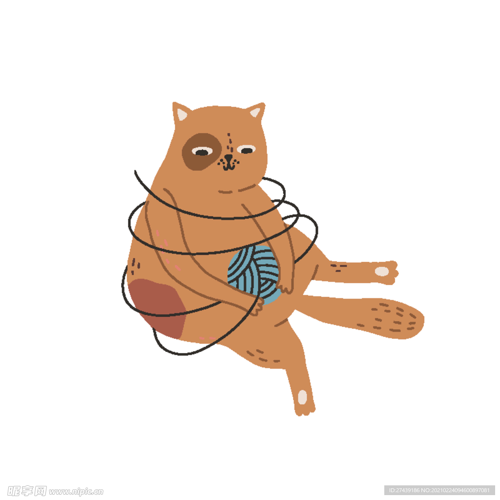 猫