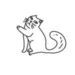 猫