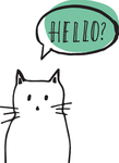 猫