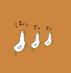 鸭子