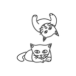 猫