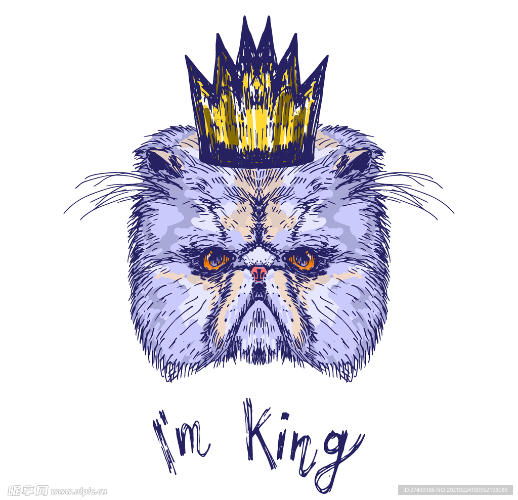 猫