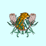 豹子