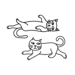 猫