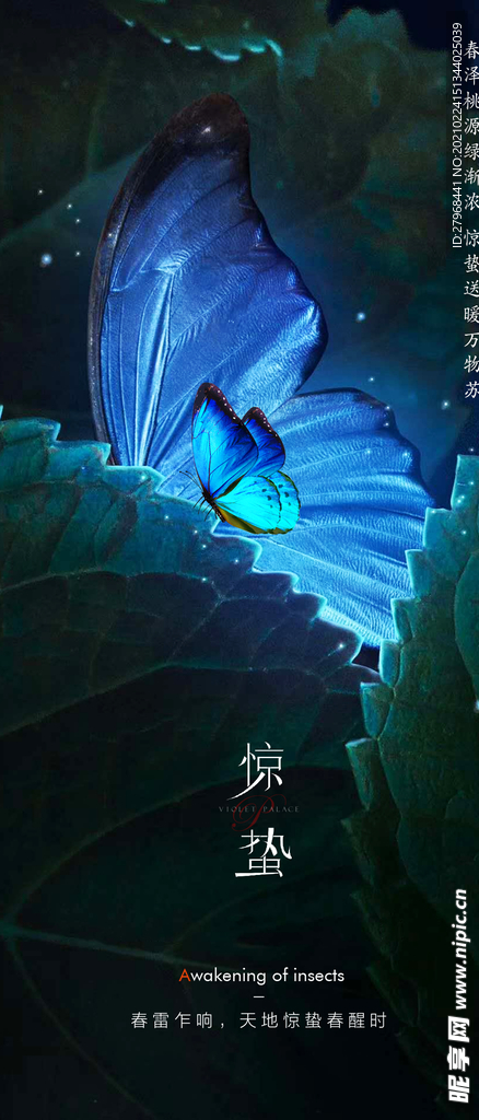 惊蛰
