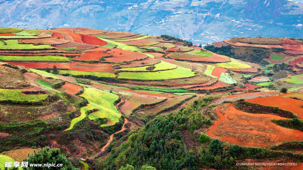 风景