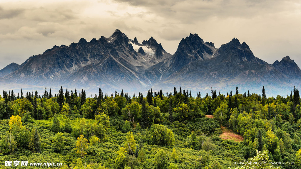 风景