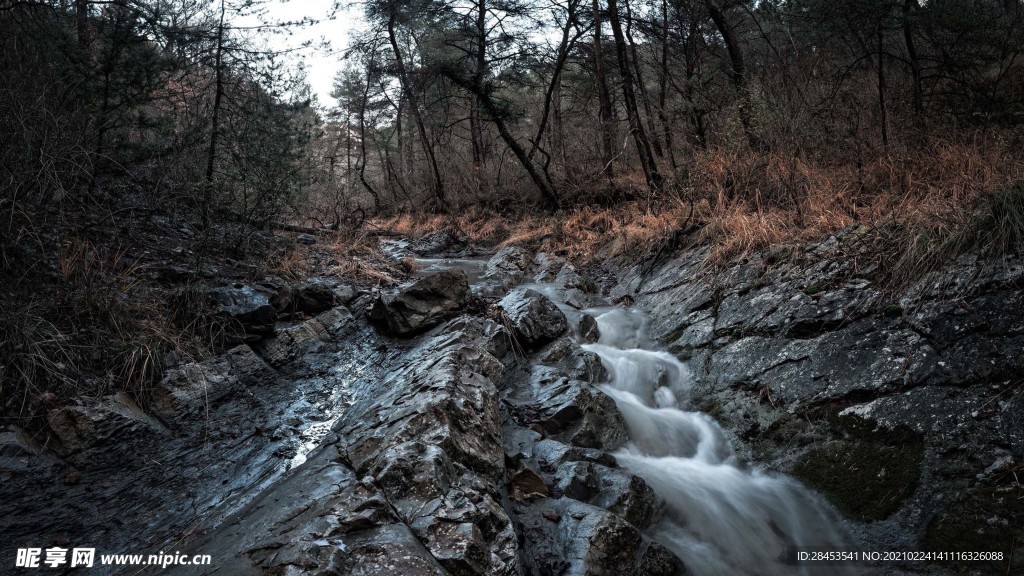 风景