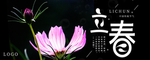 立春