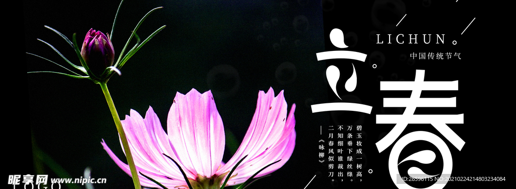 立春