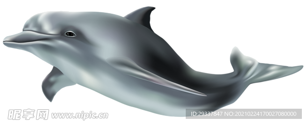鲸鱼 鲸 鲸鱼背景 鲸鱼海报