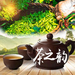 茶叶   茶壶