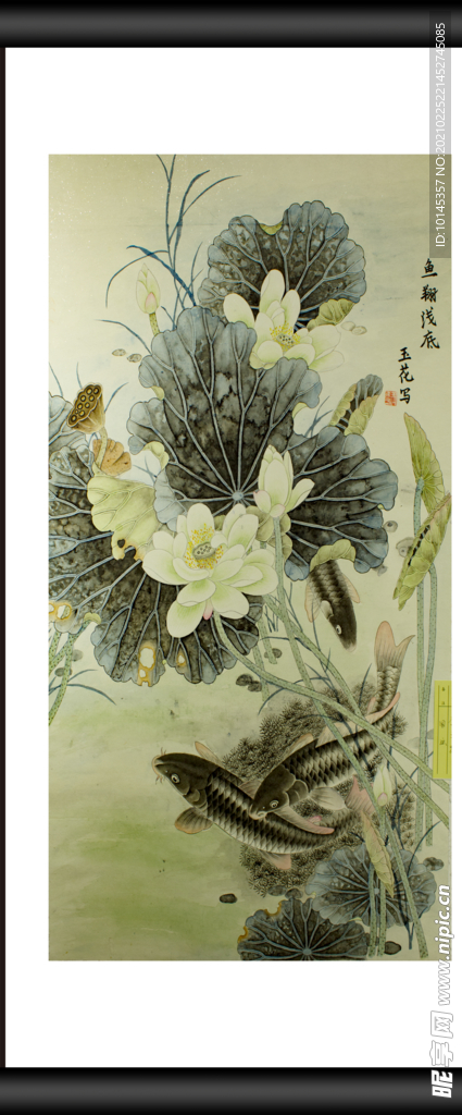 鱼翔浅底