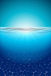 海水