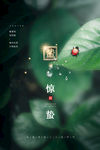 惊蛰