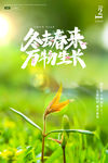春天海报