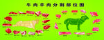 牛羊肉分割部位图