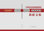 综合应急调研文集封面