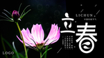 立春