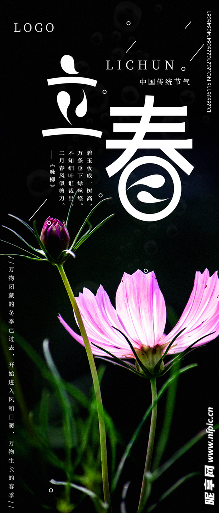 立春