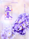 立春