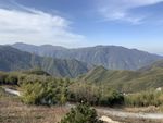 山