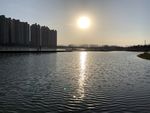 夕阳