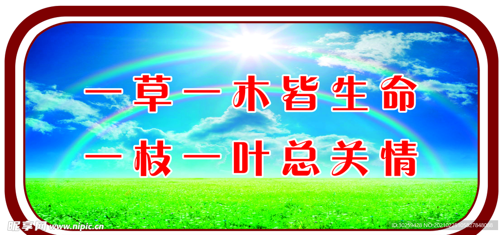 爱护花草