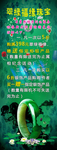 翡翠镯子展架