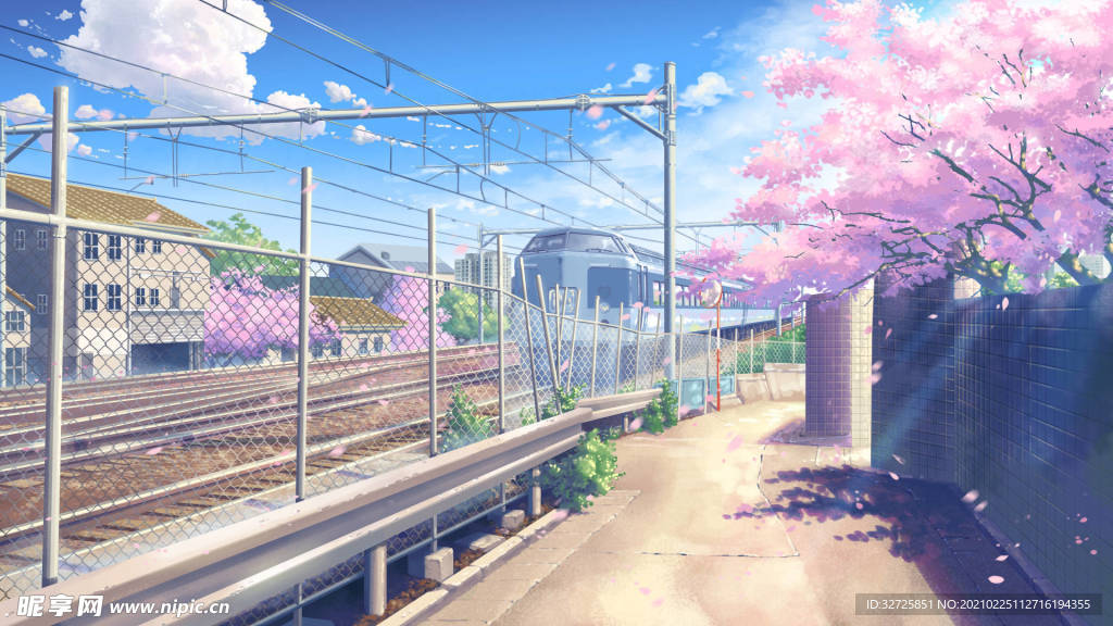 樱花树