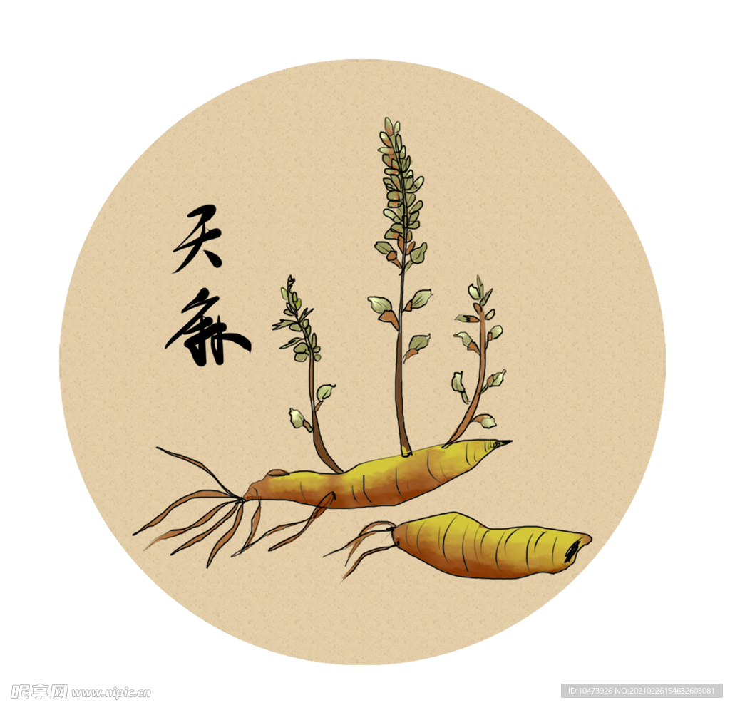 草本植物天麻元素