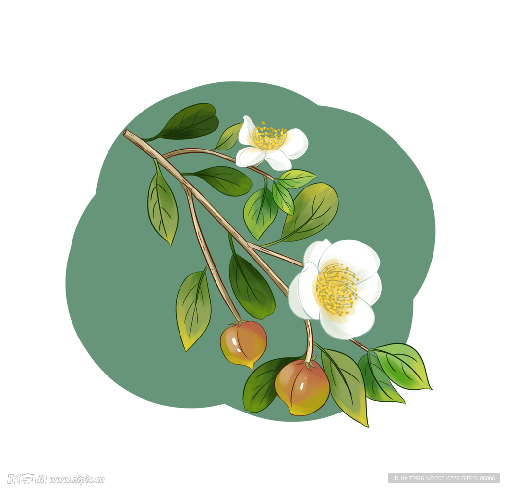 茶花元素