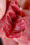 牛肉粒