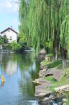 月湖