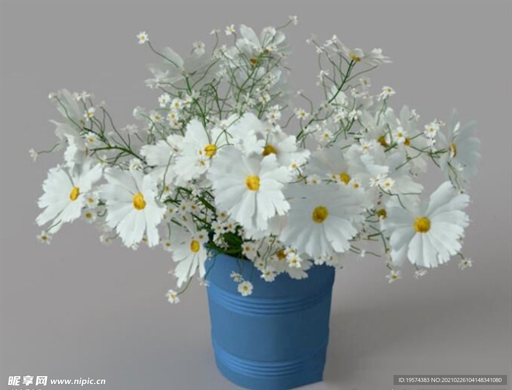 C4D模型白色菊花插画盆栽