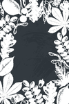 手绘素描植物水果