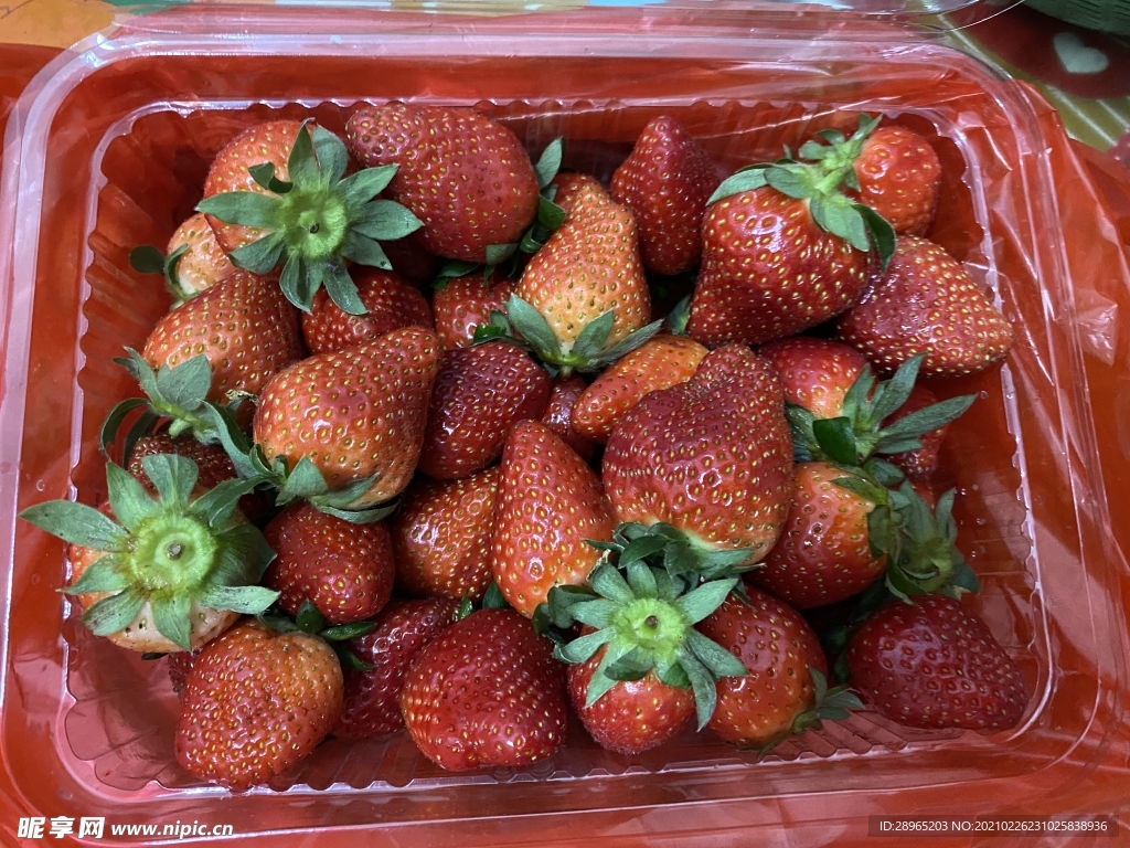草莓