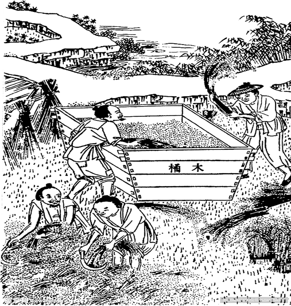 秋收线稿