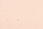 纸纹