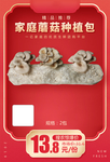 家庭蘑菇种植包加档秒