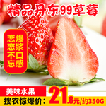精品丹东99草莓推广图