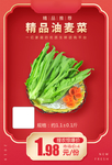 精品油麦菜加档秒