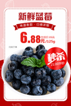 蓝莓推广图