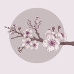 樱花插画