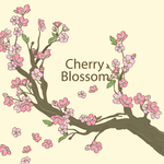 樱花素材