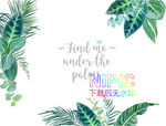 鲜花eps模版