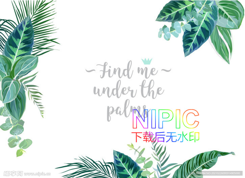 鲜花eps模版
