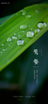 惊蛰节气海报