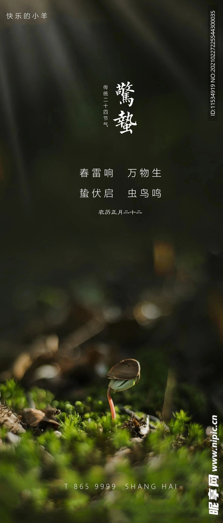 惊蛰节气海报